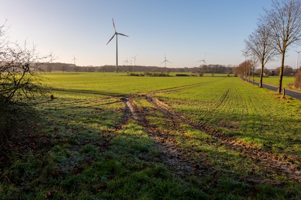 Renewable Energy Integration